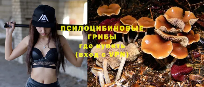 Псилоцибиновые грибы Magic Shrooms  Багратионовск 